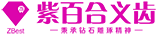 Z-Best (Hong Kong) Dental Science & Technology Co.,Ltd. Z-Best (Hong Kong) Dental Science & Technology Co.,Ltd.